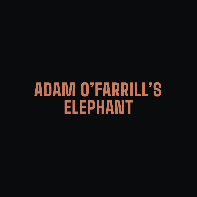 Adam O’Farrill’s Elephant